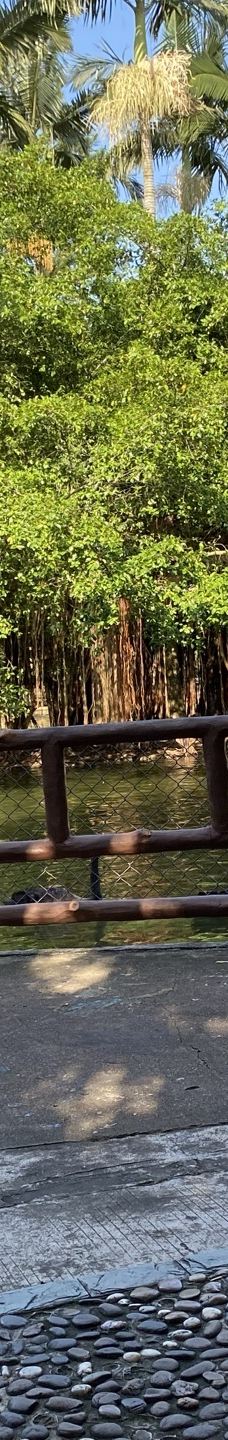 深圳野生动物园-深圳-昵称是没有昵称的
