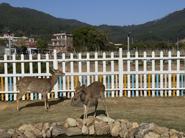 蜗牛村旅行图片 4