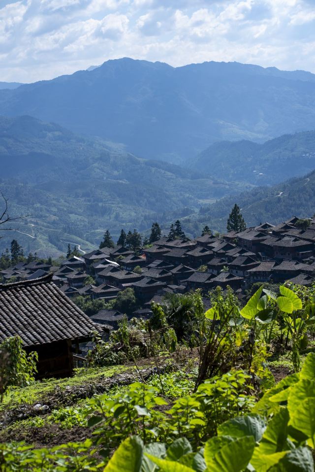 岜沙苗寨旅行图片 1