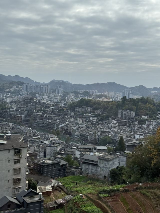 凤凰磁浮观光快线旅行图片 3