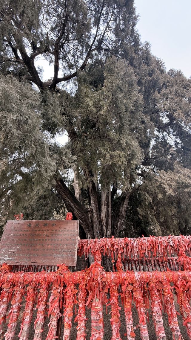 四门塔旅行图片 2