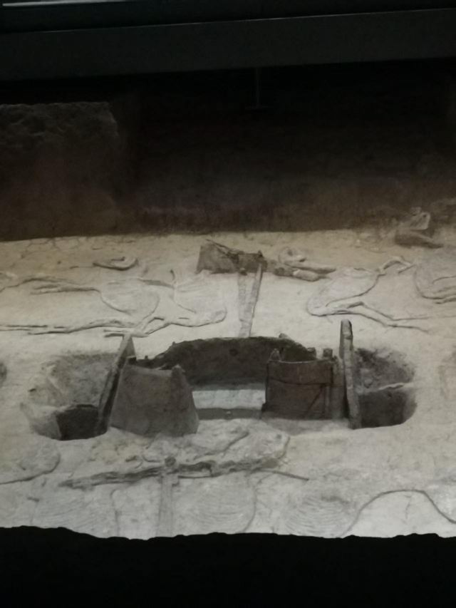 楚王车马阵景区旅行图片 2