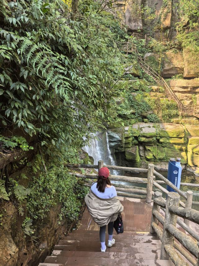 碧峰峡风景区旅行图片 3