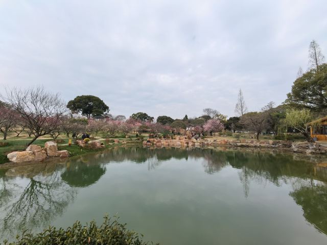 荣氏梅园旅行图片 1