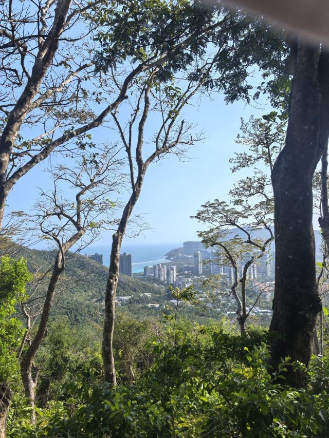 鹿回头风景区旅行图片 2