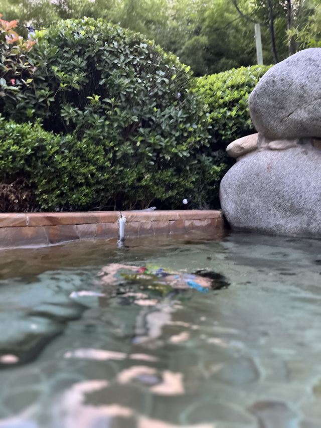西安临潼悦椿温泉旅行图片 2