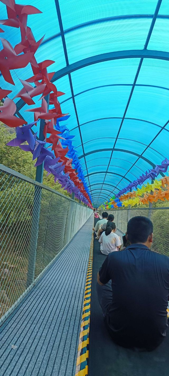 琅琊山森林漂流(暂停开放)旅行图片 5