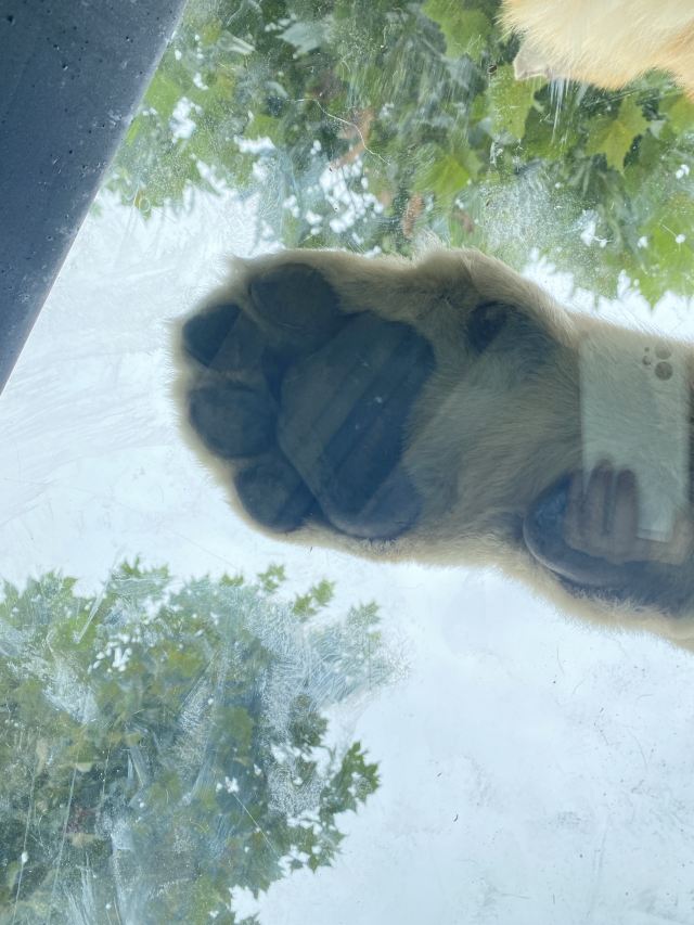 衡水野生动物园旅行图片 1