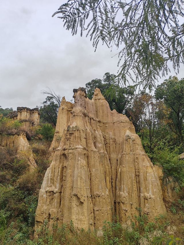 土林旅行图片 3