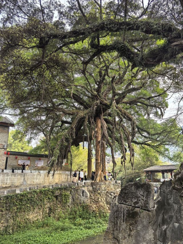 黄姚古镇景区旅行图片 1
