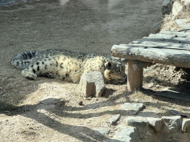 西宁野生动物园旅行图片 2