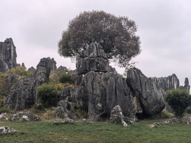 石林风景区旅行图片 9