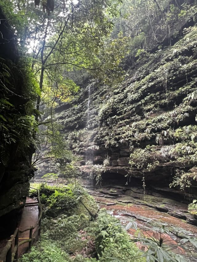 碧峰峡风景区旅行图片 4