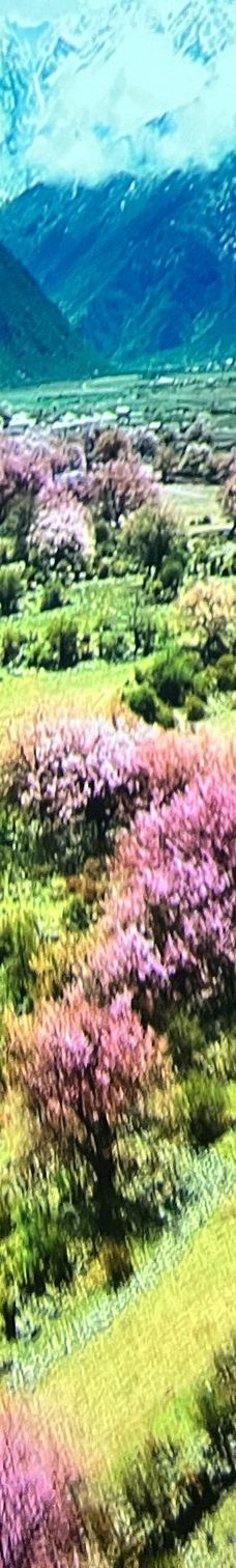 海口-YoYo_5Z0U9C7M