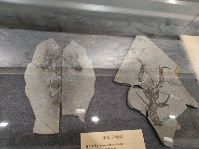 朝阳化石谷旅行图片 2