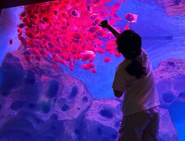 徐州欧乐堡海洋极地世界旅行图片 1