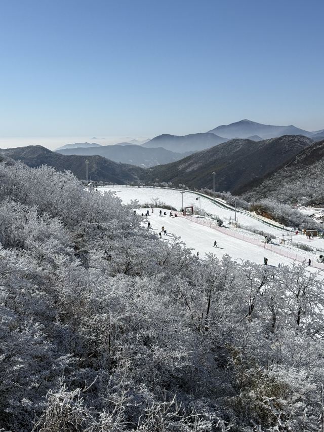 云上草原国际山地旅游度假区旅行图片 2