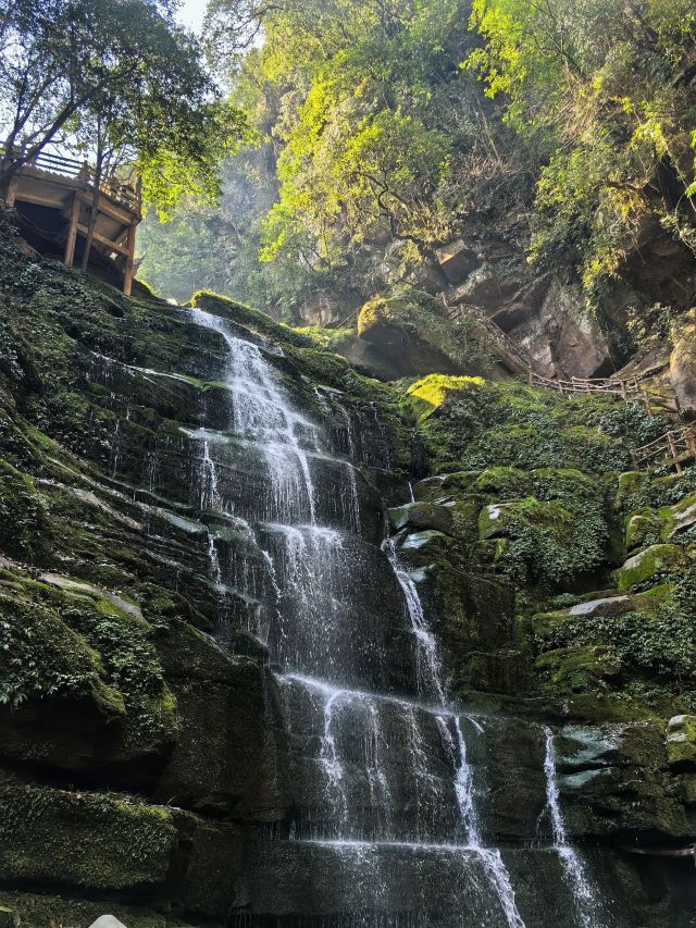 碧峰峡风景区旅行图片 4