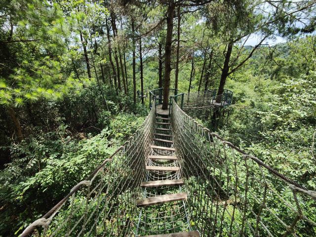 杉木湖景区旅行图片 1