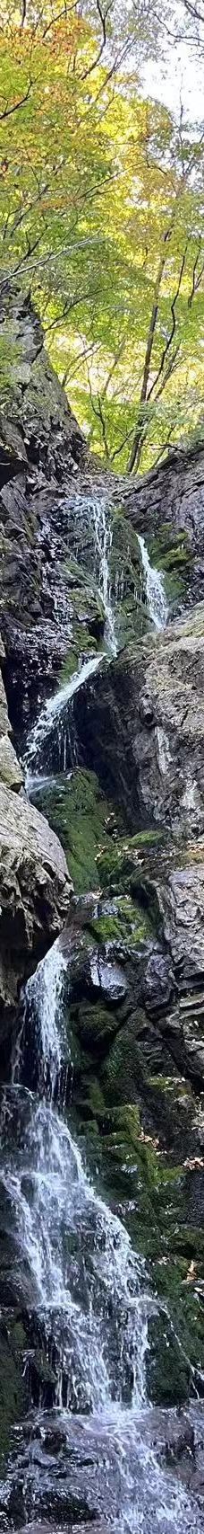 青山沟-宽甸-Milly