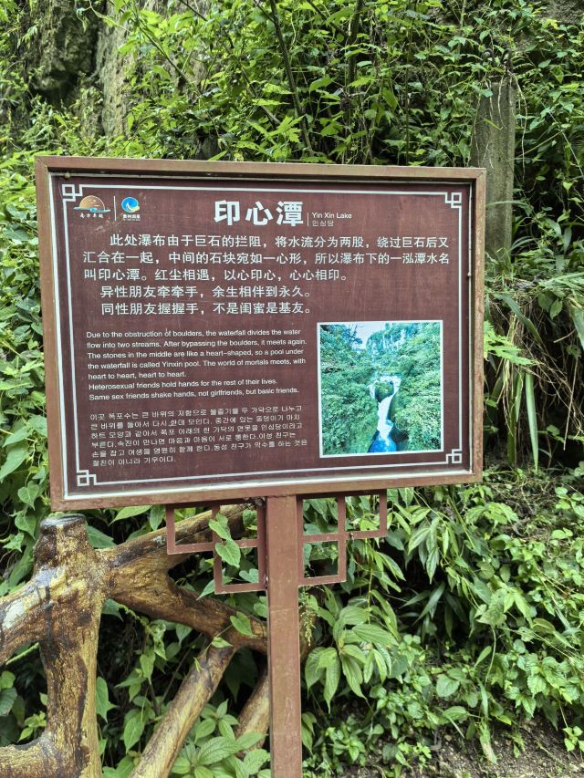 洒金公园旅行图片 1