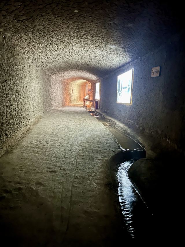 吐鲁番郡王府旅行图片 2