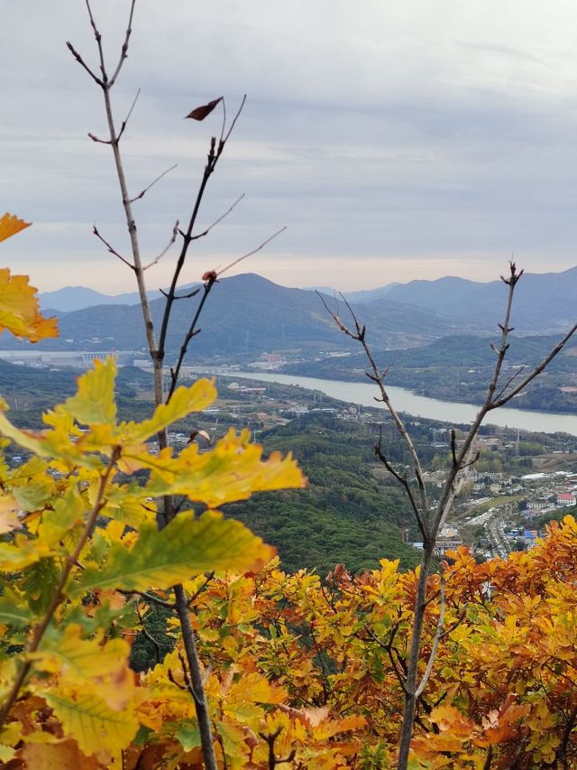 朱雀山国家森林公园旅行图片 2