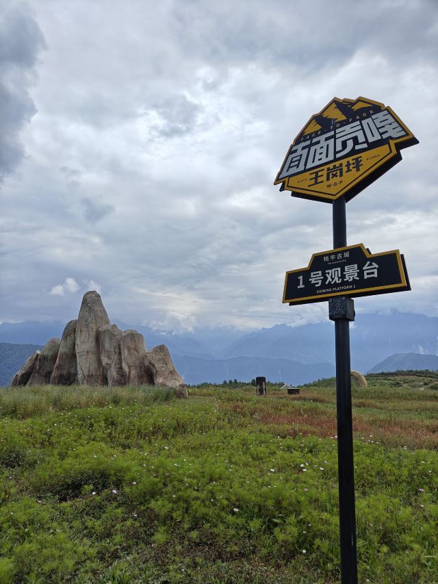 王岗坪旅游景区-露营区旅行图片 4