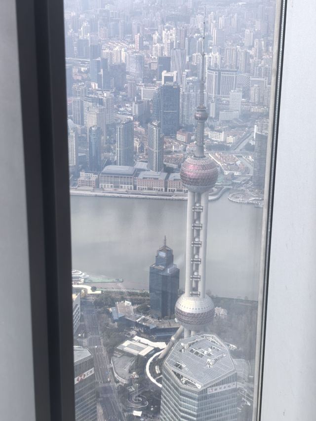 陆家嘴中心绿地旅行图片 1