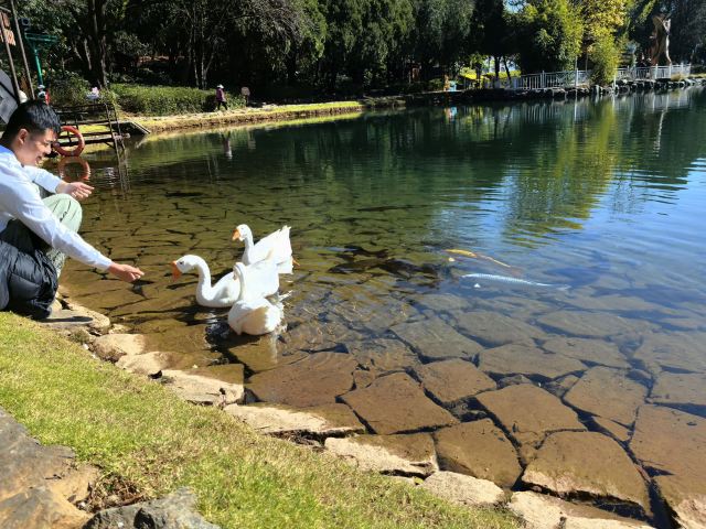 蝴蝶泉旅行图片 2