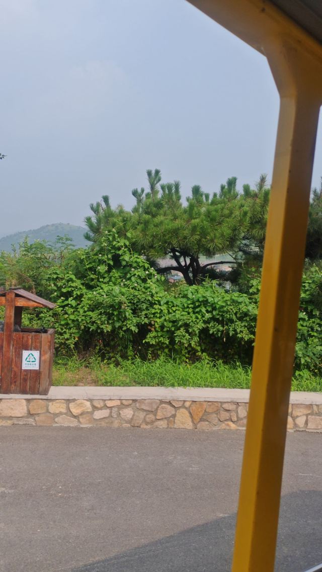 左右山谷亲子度假区(暂停开放)旅行图片 7
