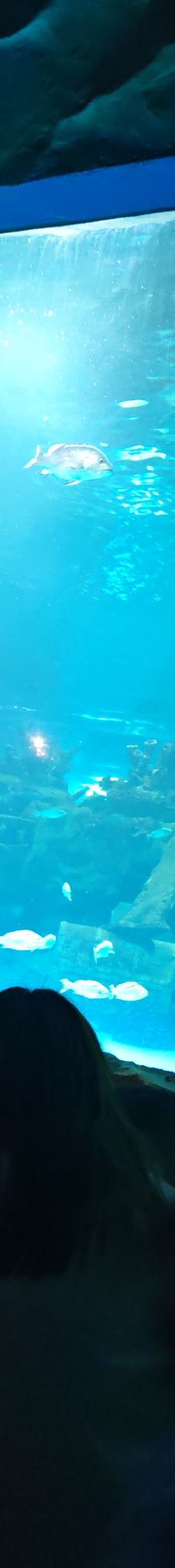 呼和浩特-YoYo_2Q8J5Z3T