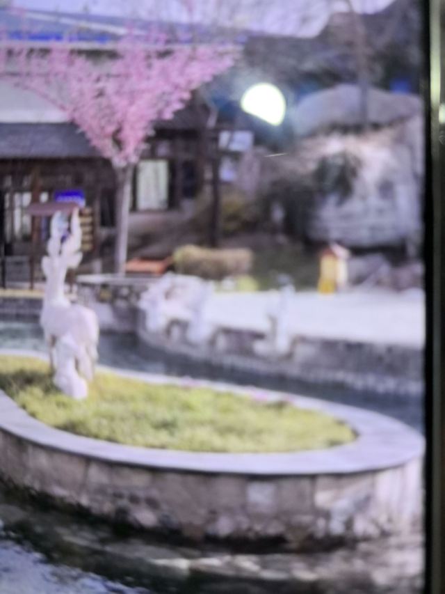 白鹿温泉旅行图片 1