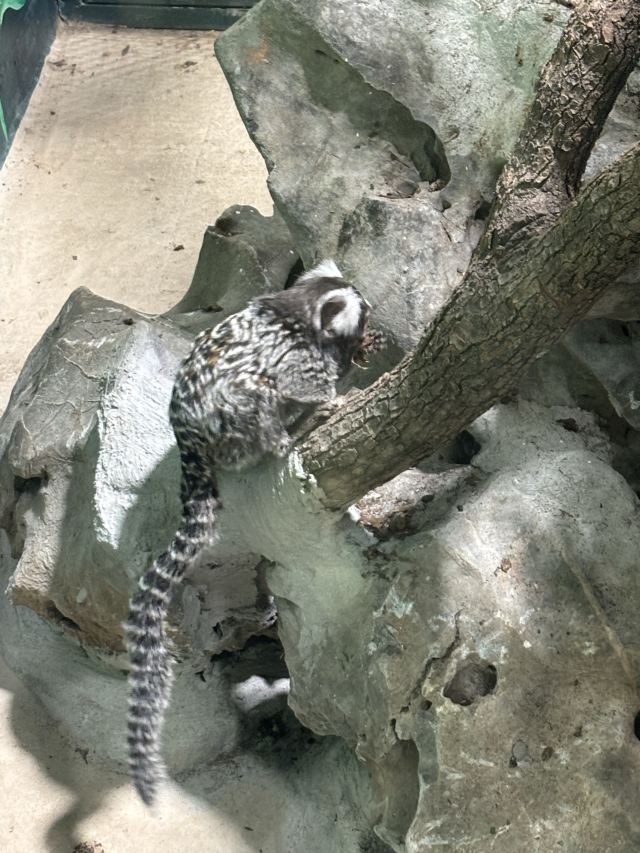 东方明珠公园旅行图片 4
