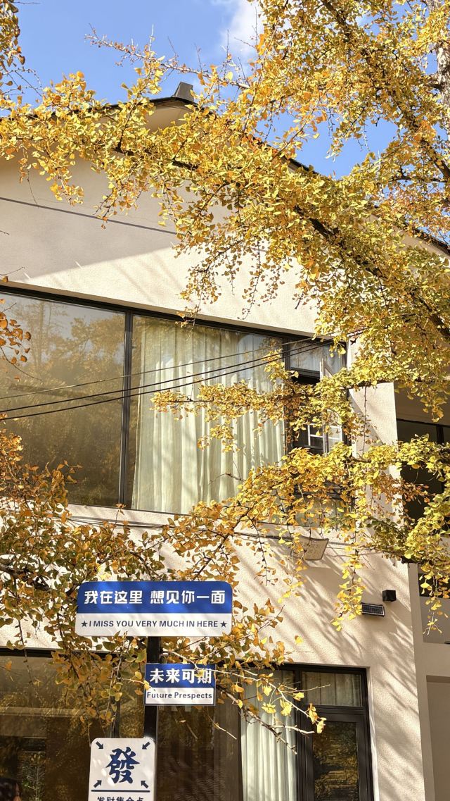 南雄帽子峰旅游景区旅行图片 1