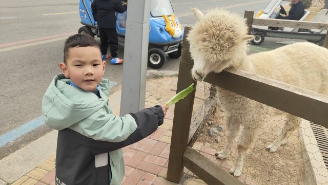 徐州九顶山野生动物园旅行图片 1