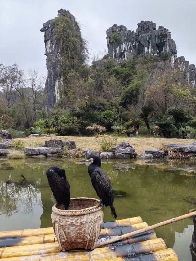 七星景区旅行图片 1
