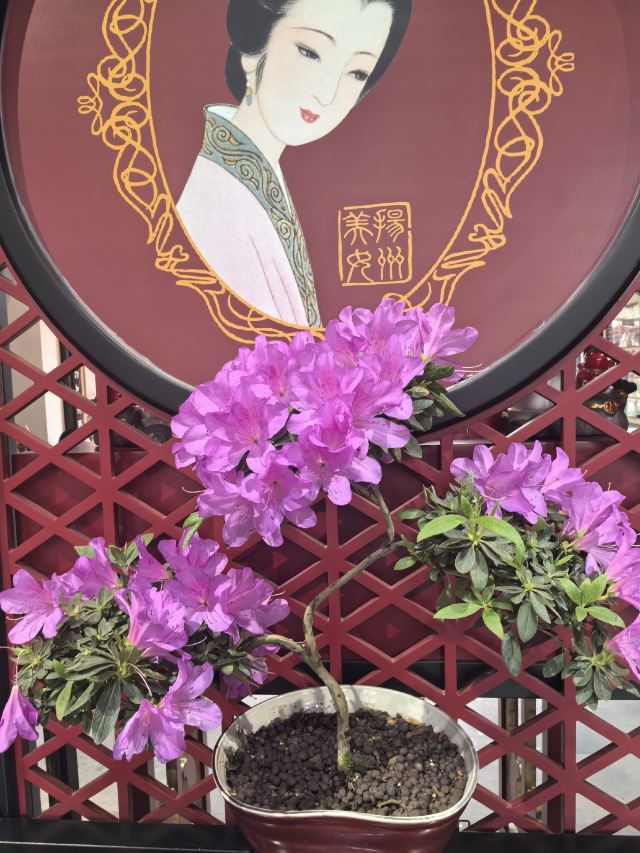 扬州大运河文化旅游度假区·大明寺旅行图片 3