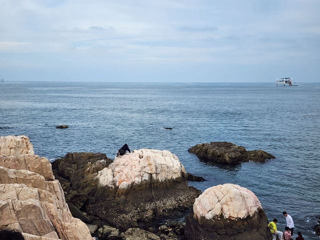 养马岛林间花海旅行图片 3