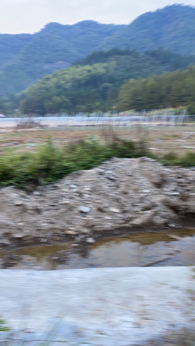 咸宁松鼠部落森林假日公园旅行图片 1