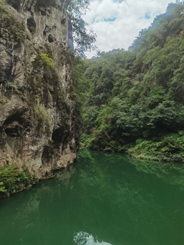 洒金公园旅行图片 3
