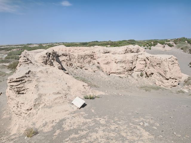 锁阳城遗址旅行图片 3