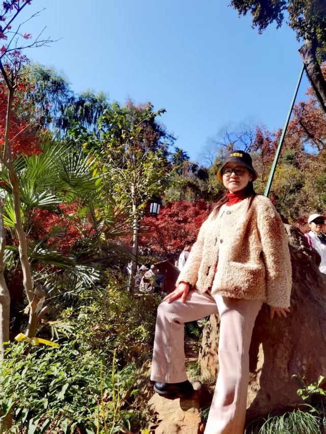 天岳幕阜山森林公园旅行图片 3