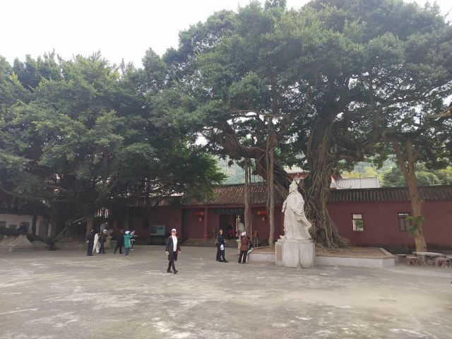 南澳岛生态旅游区旅行图片 1