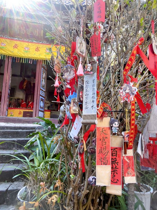 巍宝山景区旅行图片 6