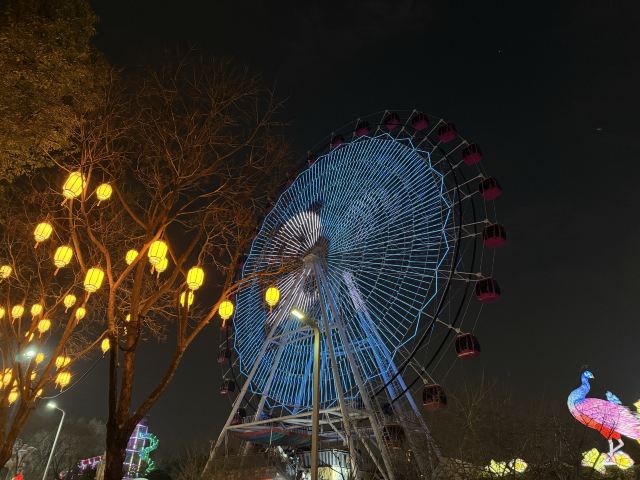 武汉园博园旅行图片 6