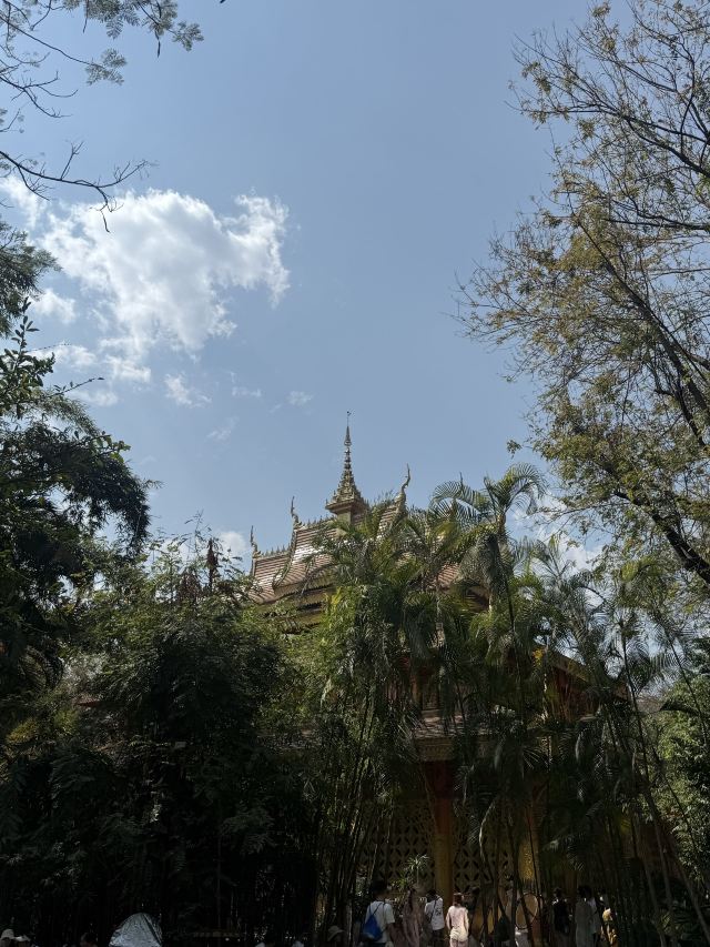 曼听御花园景区旅行图片 1