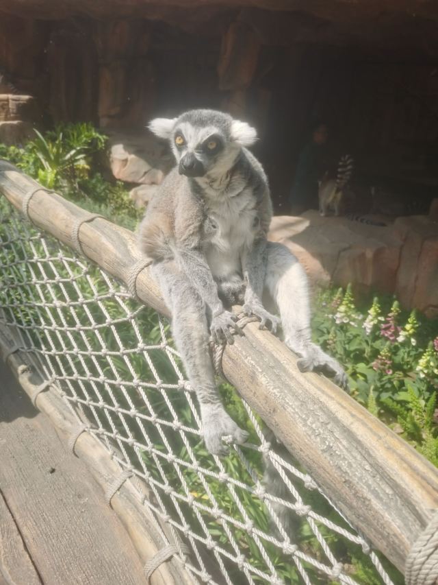 北京野生动物园旅行图片 2