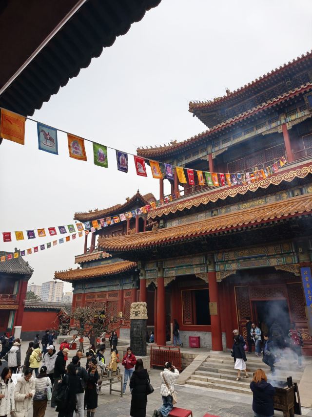雍和宫旅行图片 2