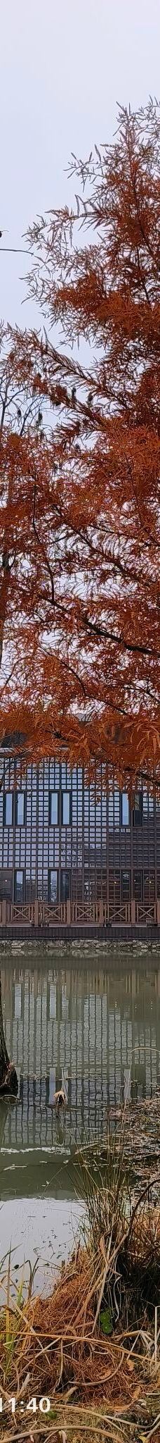 宁波植物园-宁波-YoYo_3V5V9K3I